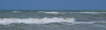 DSCF2724