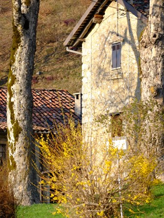DSCF1659