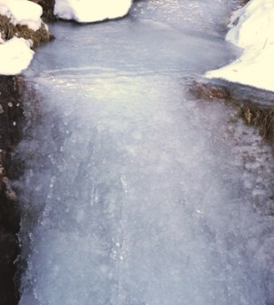DSCF3187