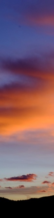 DSCF3250