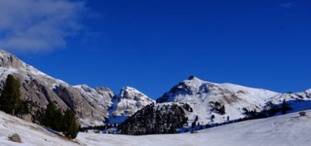 DSCF3372