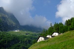 DSCF0882
