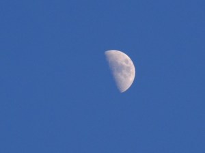 DSCF3992
