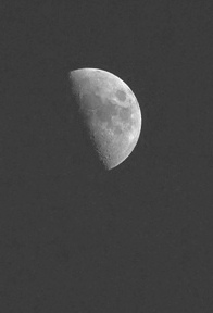 DSCF3992