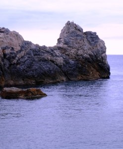 DSCF4073