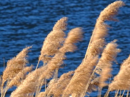 DSCF1545