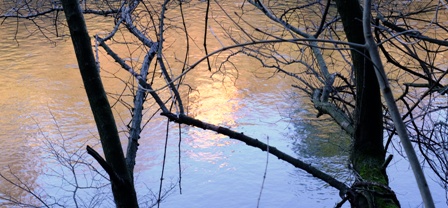 DSCF3423