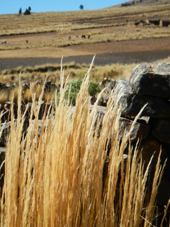 DSCN1877