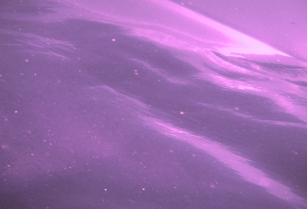 DSCN5938