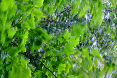 DSCF7013
