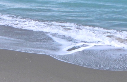 DSCN5706