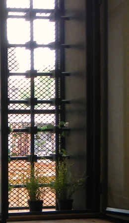 DSCN4067