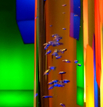 DSCF5065