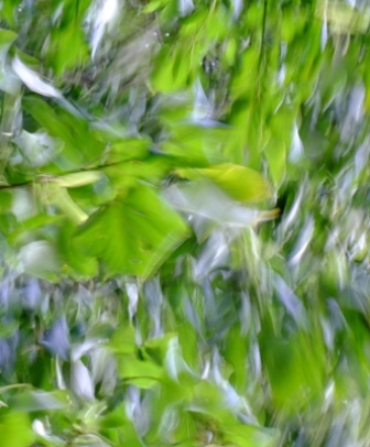 DSCF7014
