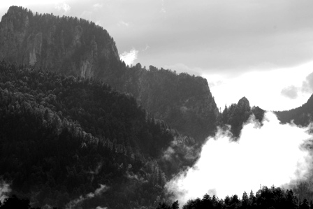 DSCF7608
