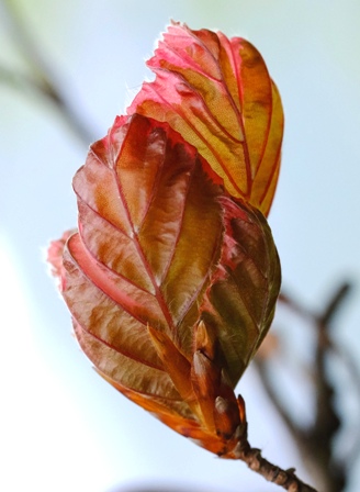 DSCF1258