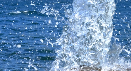DSCF1279