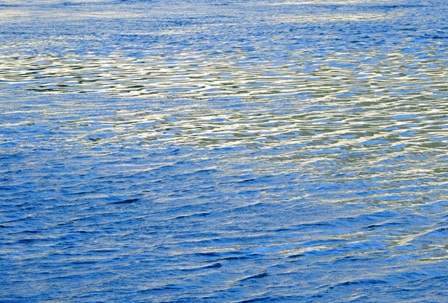 DSCF1366