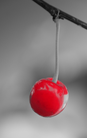 DSCF5614