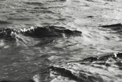 wp-1467115581425 image
