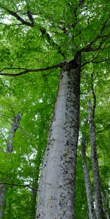 DSCF6148