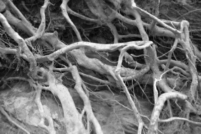 wp-image-554044181jpeg.jpeg